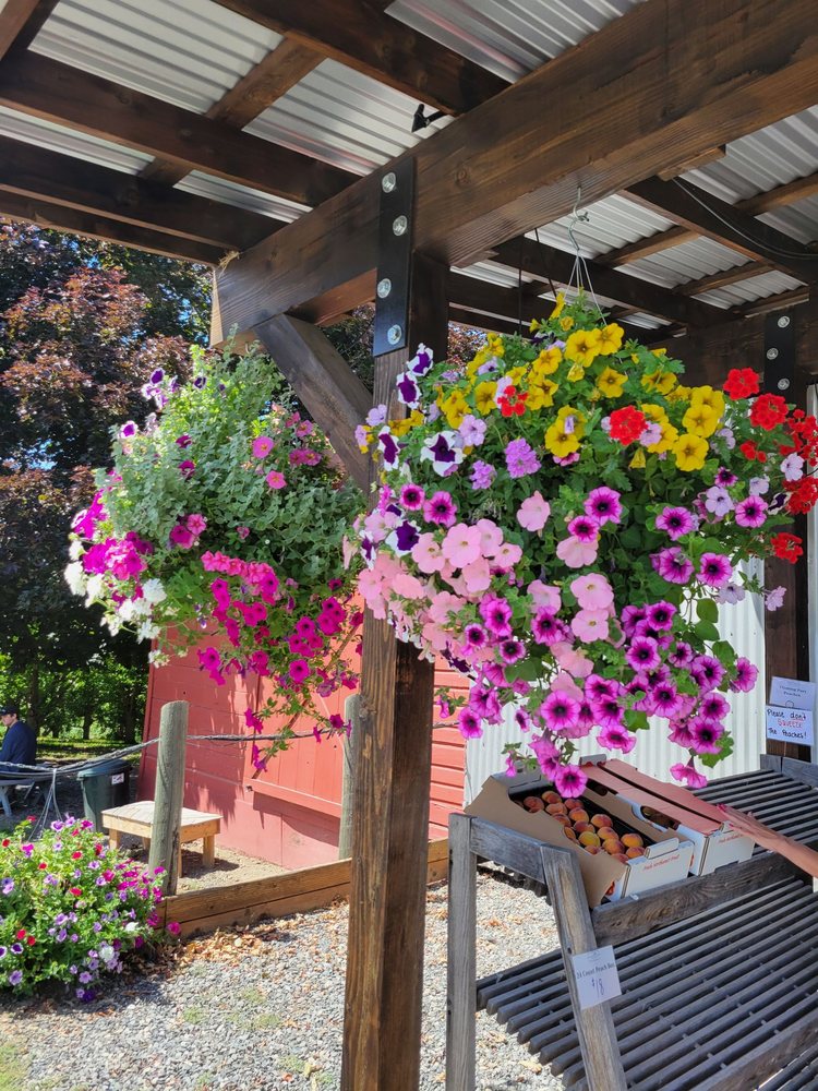 pearls place hood river 3