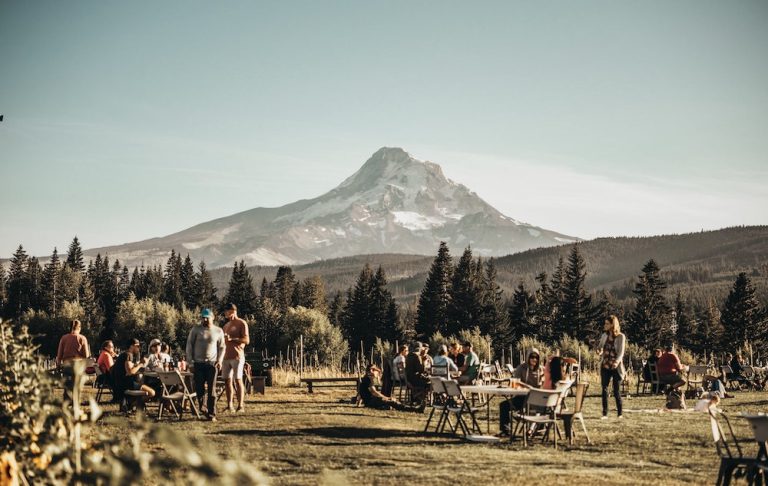 the grateful vineyard 768x486