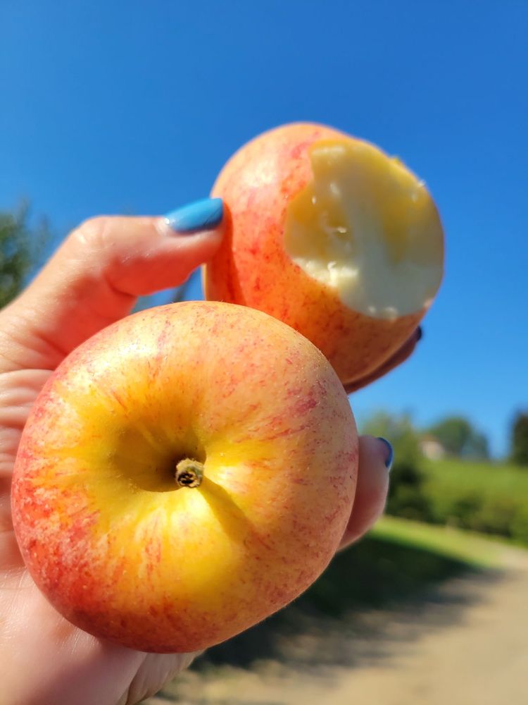 mccurdy farms hood river mccurdy farms hood river